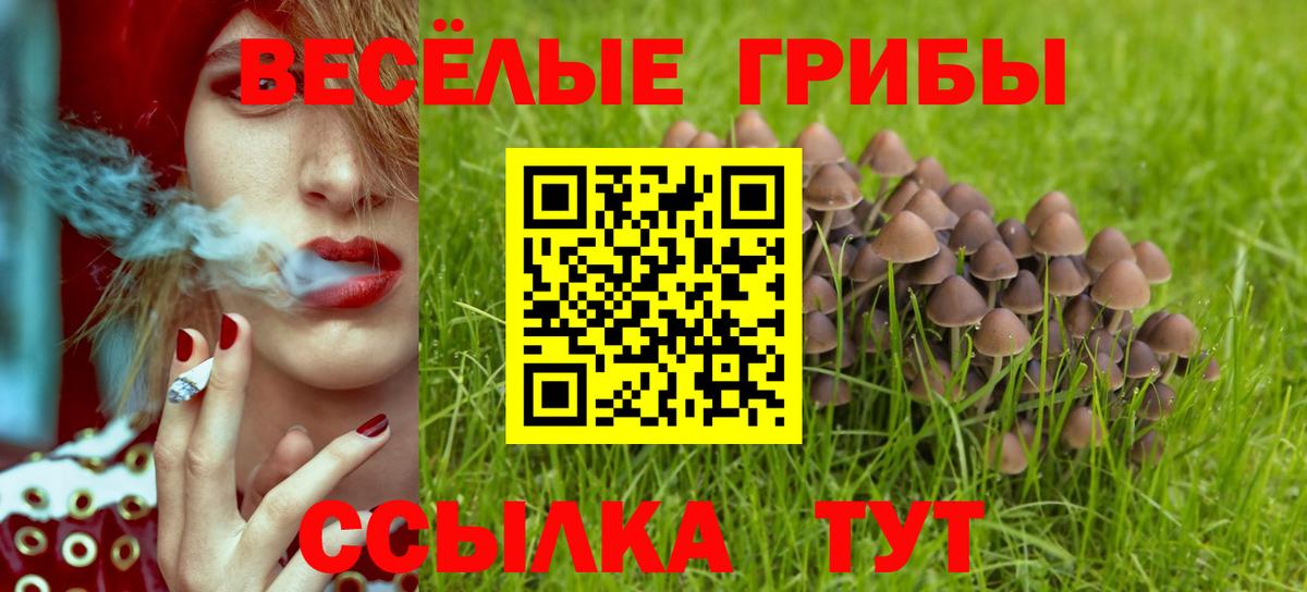Псилоцибиновые грибы GOLDEN TEACHER  Псилоцибиновые грибы мицелий  Вход с VPN  Ростов Великий 